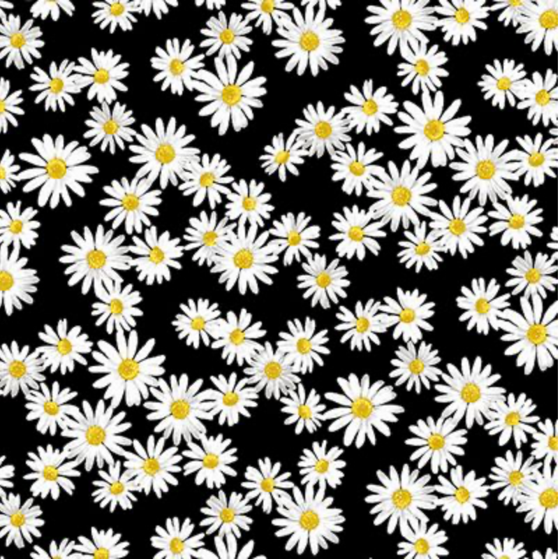 SWEET DAISIES BLACK FABRIC